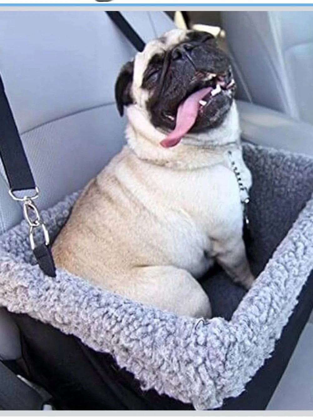 Dog Car Seats for Small Dogs, Upgrade Dog Booster Seat with Metal Frame folds
